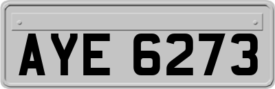 AYE6273