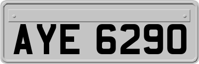 AYE6290