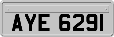 AYE6291