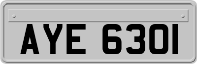 AYE6301