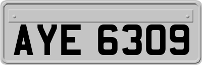 AYE6309