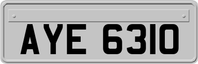 AYE6310