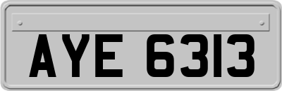 AYE6313