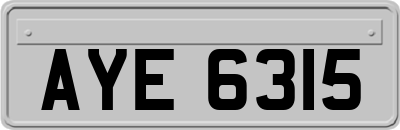 AYE6315