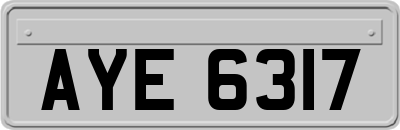AYE6317