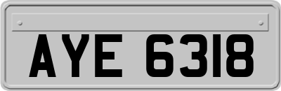 AYE6318