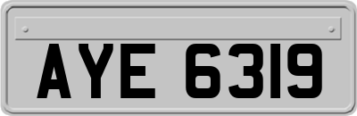 AYE6319