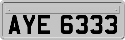 AYE6333