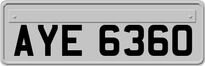 AYE6360