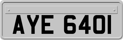 AYE6401