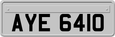 AYE6410