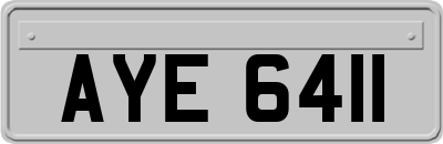 AYE6411