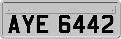 AYE6442