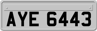 AYE6443
