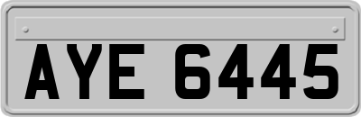 AYE6445