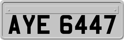AYE6447