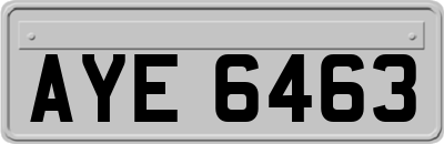 AYE6463