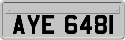 AYE6481