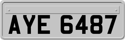 AYE6487
