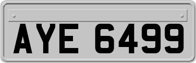 AYE6499