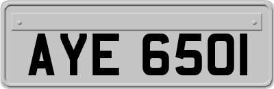AYE6501