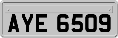 AYE6509