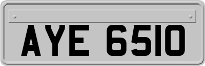 AYE6510