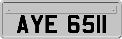 AYE6511
