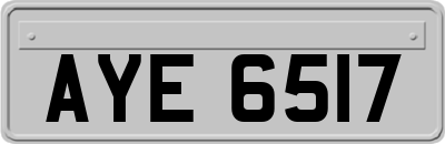 AYE6517