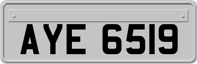 AYE6519