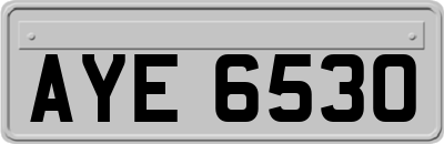 AYE6530