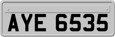 AYE6535