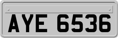 AYE6536