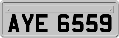 AYE6559