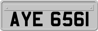 AYE6561