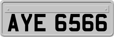 AYE6566