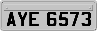 AYE6573