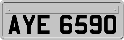 AYE6590