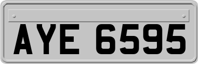 AYE6595