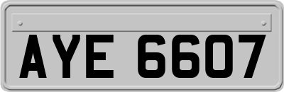 AYE6607