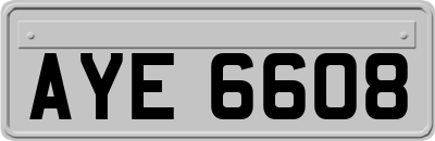 AYE6608
