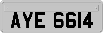 AYE6614