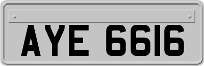 AYE6616