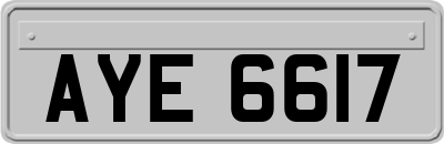 AYE6617