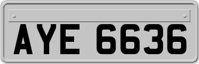 AYE6636