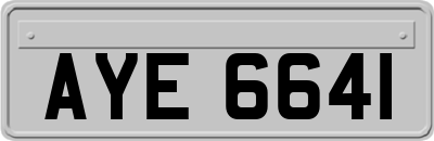AYE6641