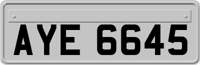 AYE6645