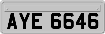 AYE6646