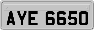 AYE6650