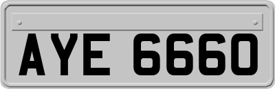 AYE6660